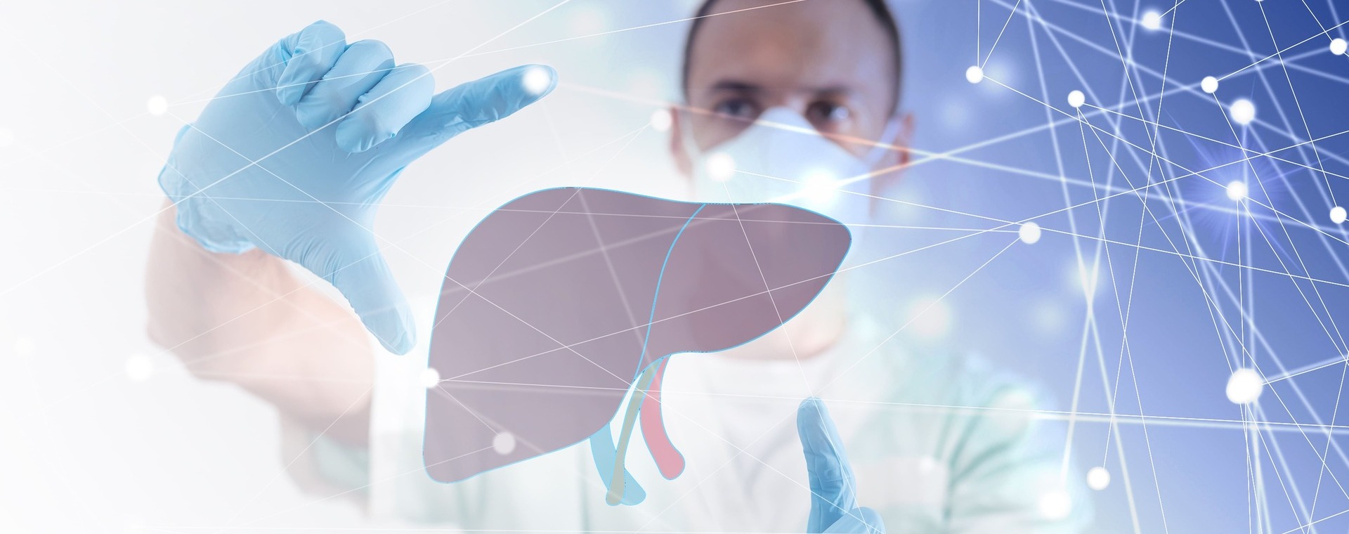 Innovation in the field of transplants: Italian research sheds light on mechanisms underlying rejection in liver allografts